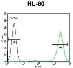Invitrogen PTMA Polyclonal Antibody 400 &mu;L; Unconjugated:Anticorps,