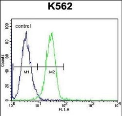 UAP1L1 Rabbit anti-Human, Polyclonal, Invitrogen 400 &mu;L; Unconjugated:Antibodies,
