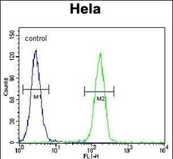 Invitrogen GTF3C4 Polyclonal Antibody 400 &mu;L; Unconjugated:Antibodies,