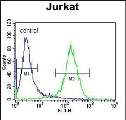 PPP1R3G Rabbit anti-Human, Polyclonal, Invitrogen 400 &mu;L; Unconjugated:Antibodies,
