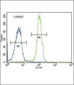 Invitrogen SDHD Polyclonal Antibody 400 &mu;L; Unconjugated:Antibodies,