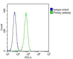Invitrogen ASM Polyclonal Antibody 400 &mu;L; Unconjugated:Antibodies,