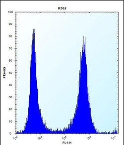 Invitrogen Ficolin 3 Polyclonal Antibody 400 &mu;L; Unconjugated:Antibodies,