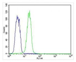 Invitrogen Cytokeratin 12 Polyclonal Antibody 400 &mu;L; Unconjugated:Antibodies,