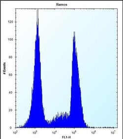 OR10G9 Rabbit anti-Human, Polyclonal, Invitrogen 400 &mu;L; Unconjugated:Antibodies,