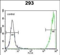 GNAS Rabbit anti-Human, Polyclonal, Invitrogen 400 &mu;L; Unconjugated:Antibodies,