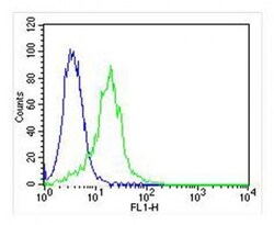 Invitrogen LPL Polyclonal Antibody 400 &mu;L; Unconjugated:Antibodies,