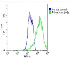 Invitrogen alpha-1D Adrenoceptor Polyclonal Antibody 400 &mu;L; Unconjugated:Antibodies,