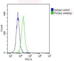 Invitrogen RPS10 Polyclonal Antibody 200 &mu;L; Unconjugated:Antibodies,