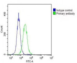 Invitrogen GALC Polyclonal Antibody 200 &mu;L; Unconjugated:Antibodies,