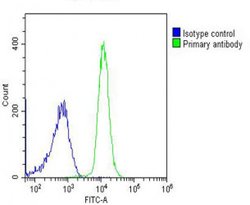 PIGC Rabbit anti-Human, Polyclonal, Invitrogen 200 &mu;L; Unconjugated:Antibodies,