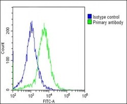 Invitrogen EEF1A1P5 Polyclonal Antibody 200 &mu;L; Unconjugated:Antibodies,