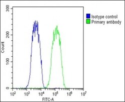 Invitrogen WNT5A Polyclonal Antibody 200 &mu;L; Unconjugated:Antibodies,