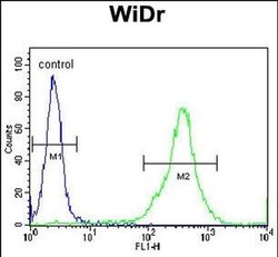FAM3B Rabbit anti-Human, Polyclonal, Invitrogen 400 &mu;L; Unconjugated:Antibodies,