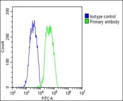 Invitrogen COMP Polyclonal Antibody 400 &mu;L; Unconjugated:Antibodies,