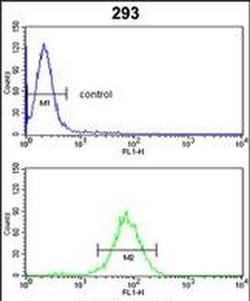 GNPAT Rabbit anti-Human, Polyclonal, Invitrogen 400 &mu;L; Unconjugated:Antibodies,