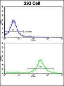 Invitrogen MOBP Polyclonal Antibody 400 &mu;L; Unconjugated:Antibodies,