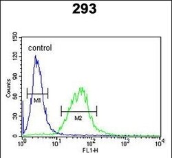 Invitrogen BCOR Polyclonal Antibody 400 &mu;L; Unconjugated:Antibodies,