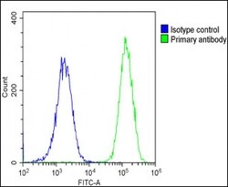 Invitrogen&trade;&nbsp;ANP Polyclonal Antibody