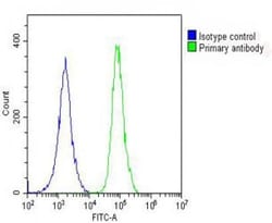 Invitrogen PRODH Polyclonal Antibody 400 &mu;L; Unconjugated:Antibodies,