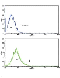 Invitrogen ATF6 Polyclonal Antibody 400 &mu;L | Buy Online | Invitrogen&trade; | Fisher Scientific