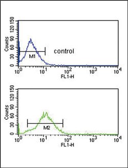 B1 Bradykinin Receptor Rabbit anti-Human, Polyclonal, Invitrogen 400 &mu;L;