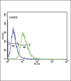 Invitrogen D4 Dopamine Receptor Polyclonal Antibody 400 &mu;L; Unconjugated:Antibodies,