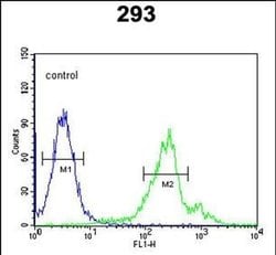 Cdc42EP3 Rabbit anti-Human, Polyclonal, Invitrogen 400 &mu;L; Unconjugated:Antibodies,