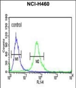 Invitrogen ITGBL1 Polyclonal Antibody 400 &mu;L; Unconjugated:Antibodies,