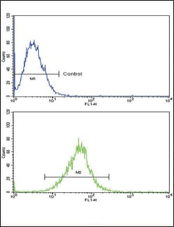 Invitrogen IL18RAP Polyclonal Antibody 400 &mu;L; Unconjugated:Antibodies,