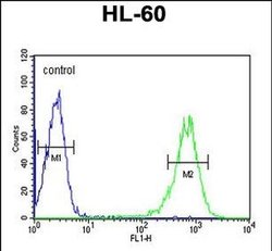 RPS8 Rabbit anti-Human, Mouse, Polyclonal, Invitrogen 400 &mu;L; Unconjugated:Antibodies,