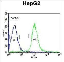 MGST2 Rabbit anti-Human, Polyclonal, Invitrogen 400 &mu;L; Unconjugated:Antibodies,