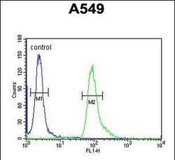 Invitrogen ABHD12 Polyclonal Antibody 400 &mu;L | Buy Online | Invitrogen&trade; | Fisher Scientific