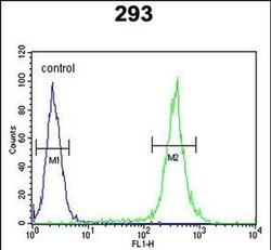 UNC13B Rabbit anti-Human, Polyclonal, Invitrogen 400 &mu;L; Unconjugated:Antibodies,