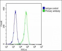 GBA Polyclonal Antibody:Antibodies, Polyclonal
