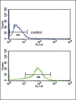 Invitrogen APEX2 Polyclonal Antibody 400 &mu;L; Unconjugated:Antibodies,