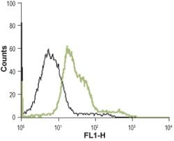 alpha-1b Adrenergic Receptor (extracellular) Polyclonal Antibody, Invitrogen