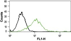 TRPV2 (extracellular) Polyclonal Antibody, Invitrogen 50 &mu;L; Unconjugated:Antibodies,