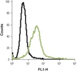 HRH2 (extracellular) Polyclonal Antibody, Invitrogen 50 &mu;L; Unconjugated:Antibodies,