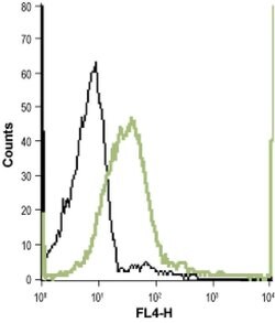 CHRNA4 (extracellular) Polyclonal Antibody, Invitrogen 50 &mu;L; Unconjugated:Antibodies,