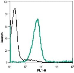 Nectin 1 (extracellular) Polyclonal Antibody, Invitrogen 50 &mu;L | Buy Online | Invitrogen | Fisher Scientific