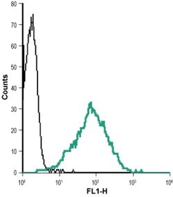 Nectin 2 (extracellular) Polyclonal Antibody, Invitrogen 50 &mu;L; Unconjugated:Antibodies,