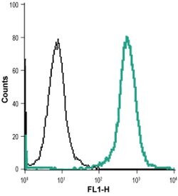 Nhe-1 (extracellular) Polyclonal Antibody, Invitrogen 50 &mu;L; Unconjugated:Antibodies,