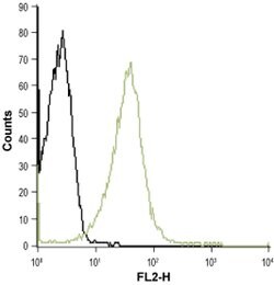 KV1.3 (KCNA3) (extracellular) Polyclonal Antibody, Invitrogen 50 &mu;L | Buy Online | Invitrogen | Fisher Scientific