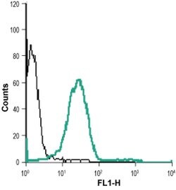 PTGER2 (extracellular) Polyclonal Antibody, Invitrogen 50 &mu;L; Unconjugated:Anticuerpos