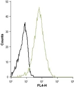 EDG3 (extracellular) Polyclonal Antibody, Invitrogen 50 &mu;L; Unconjugated:Antibodies,