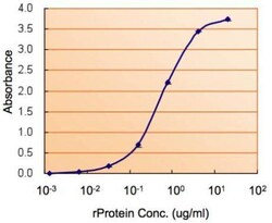 Invitrogen COMT Polyclonal Antibody 100 &mu;L; Unconjugated:Antibodies,