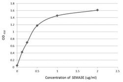 Invitrogen SEMA3E Polyclonal Antibody 100 &mu;L; Unconjugated:Antibodies,