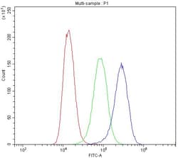 Invitrogen SUR1 Polyclonal Antibody, DyLight 488 100 &mu;g; DyLight 488:Antibodies,