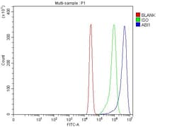 Invitrogen ABI1 Polyclonal Antibody 100 &mu;g; Unconjugated:Antibodies,